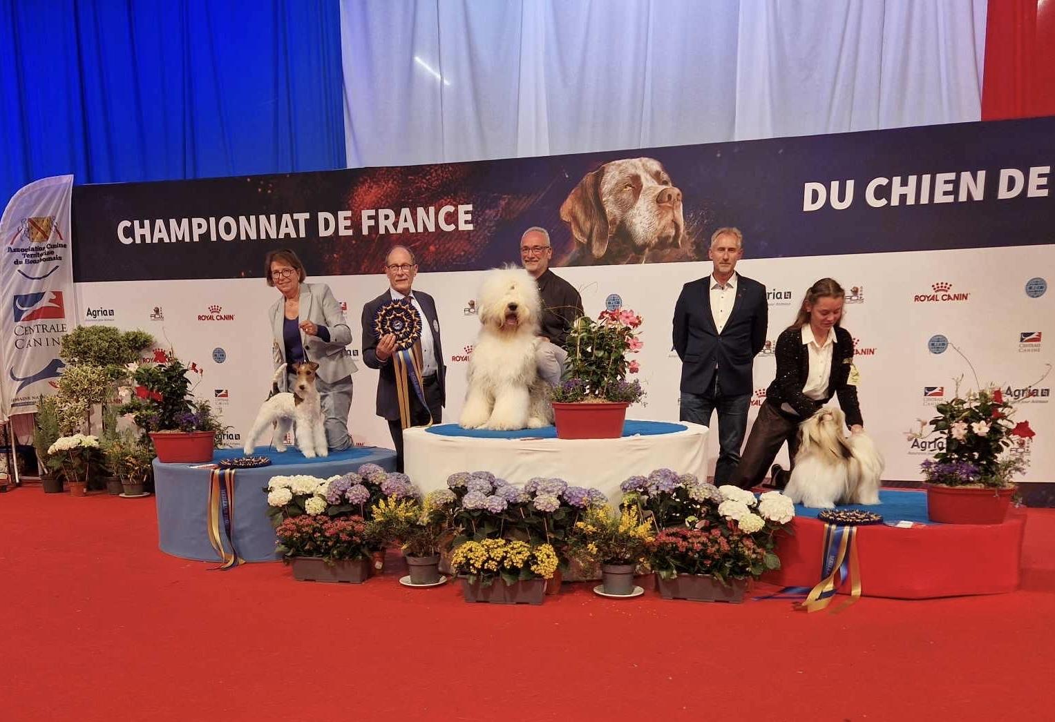 026dedc7 764a 4d4a 9ae2 4d19c76d9160