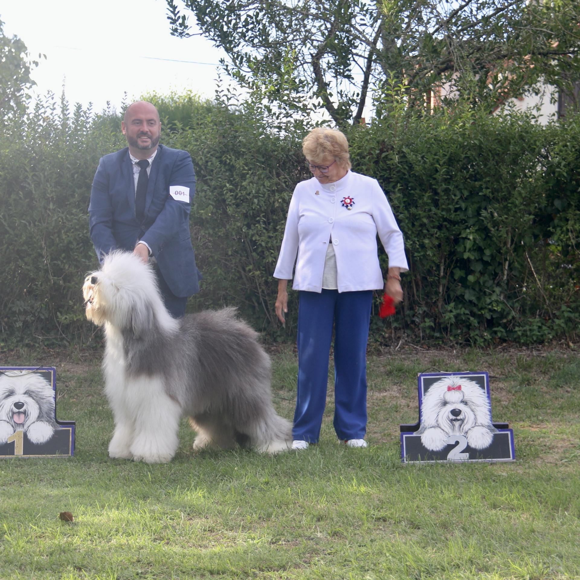 04ecc3b1 1fd7 42fe a03e 01b6e9eb5705 1 201 a