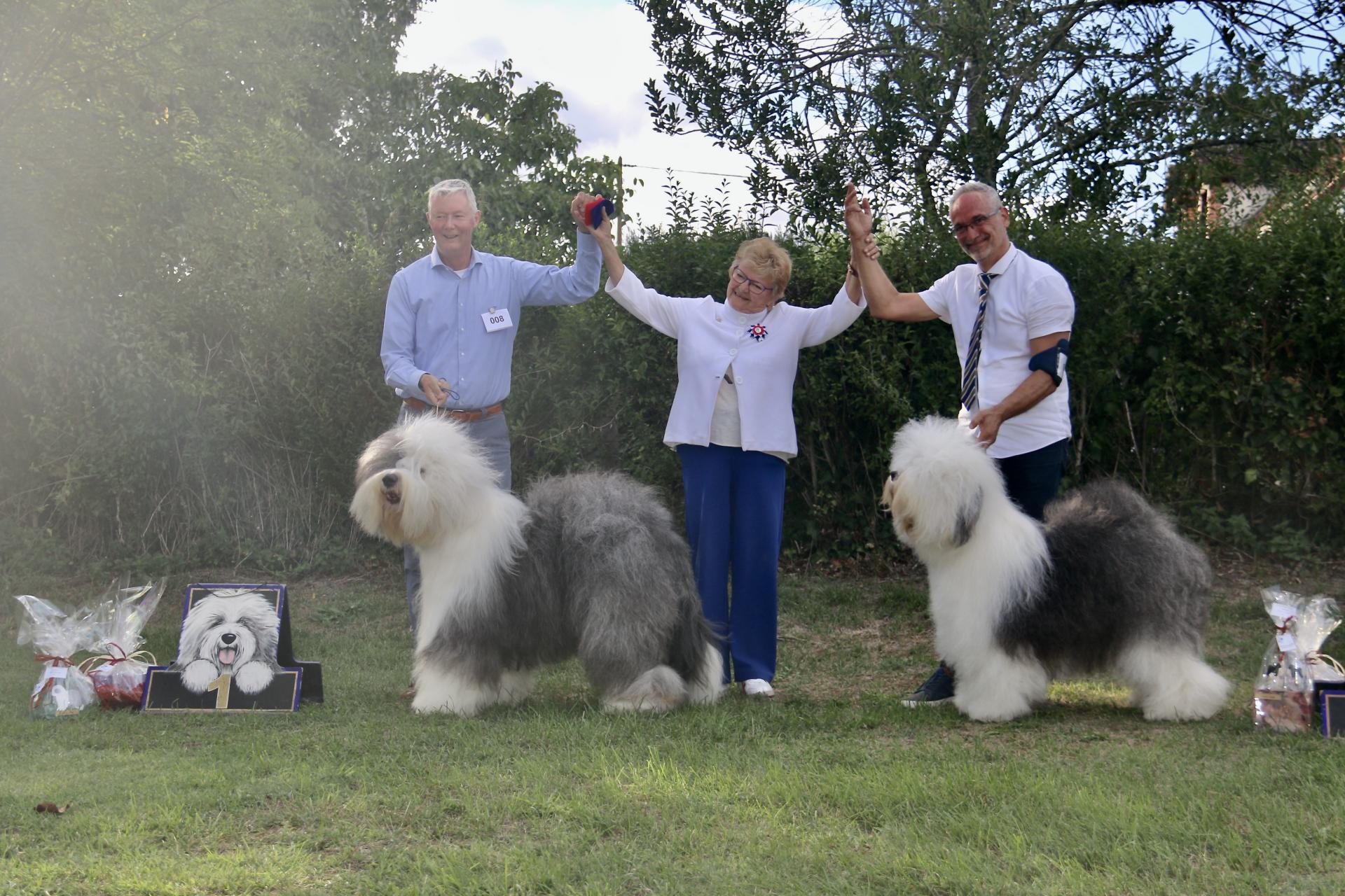 19aa1970 8873 4d9c 8c27 8aa750222b47 1 201 a