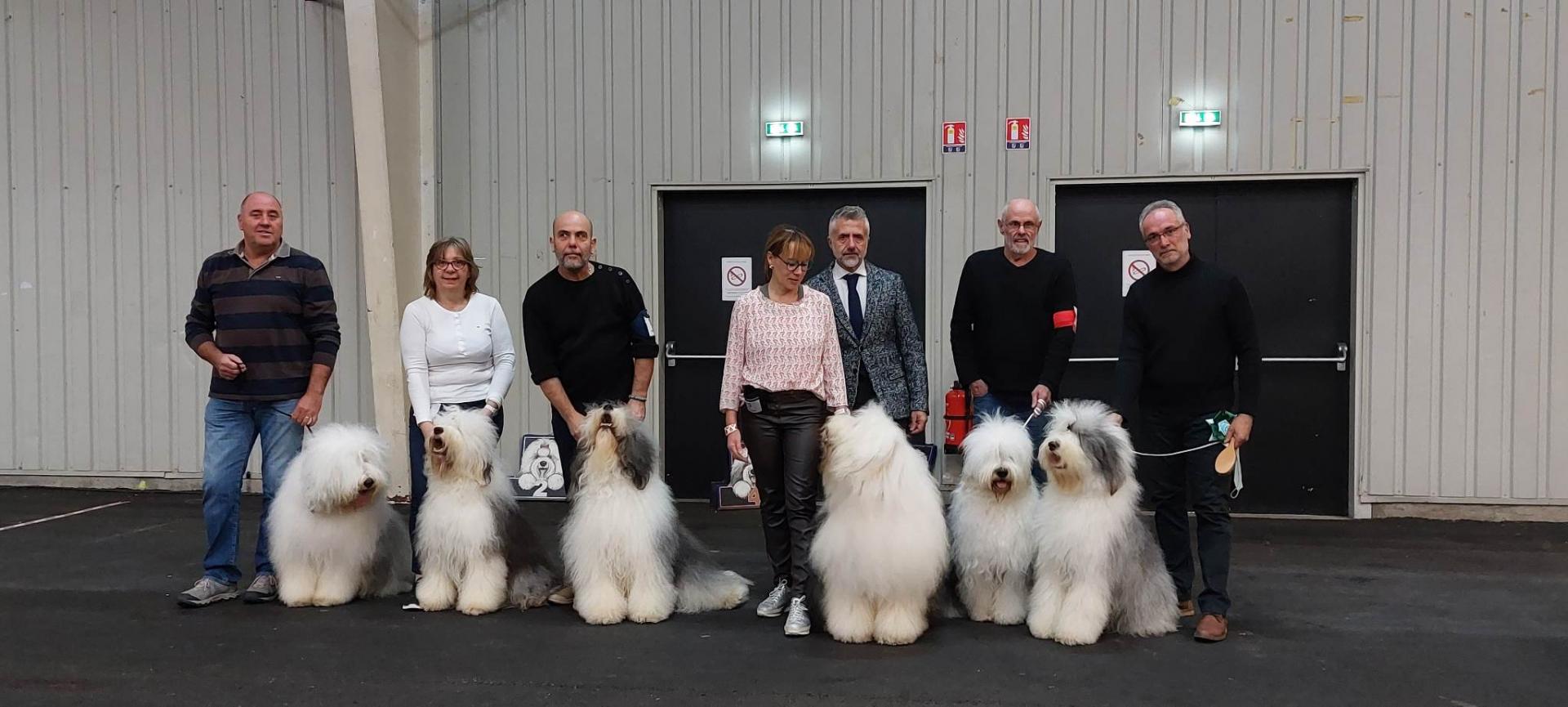 317743499 1029744361752809 6282588961800448389 n