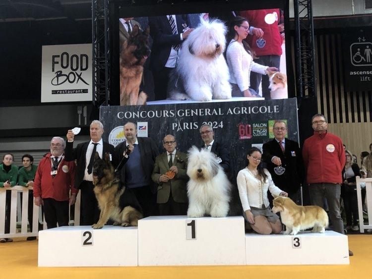 428409442 732976158937350 5618774180489675577 n