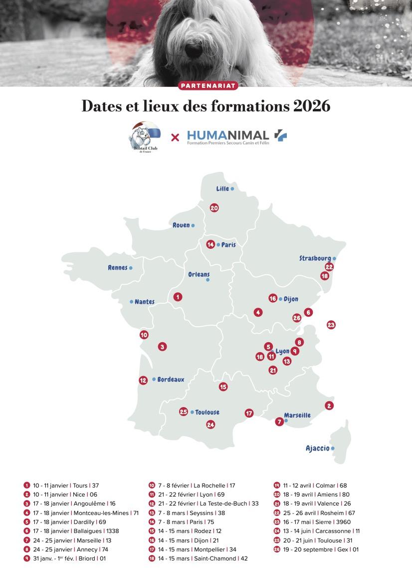 Bcf35 formation premiers secours 2 adherents mail