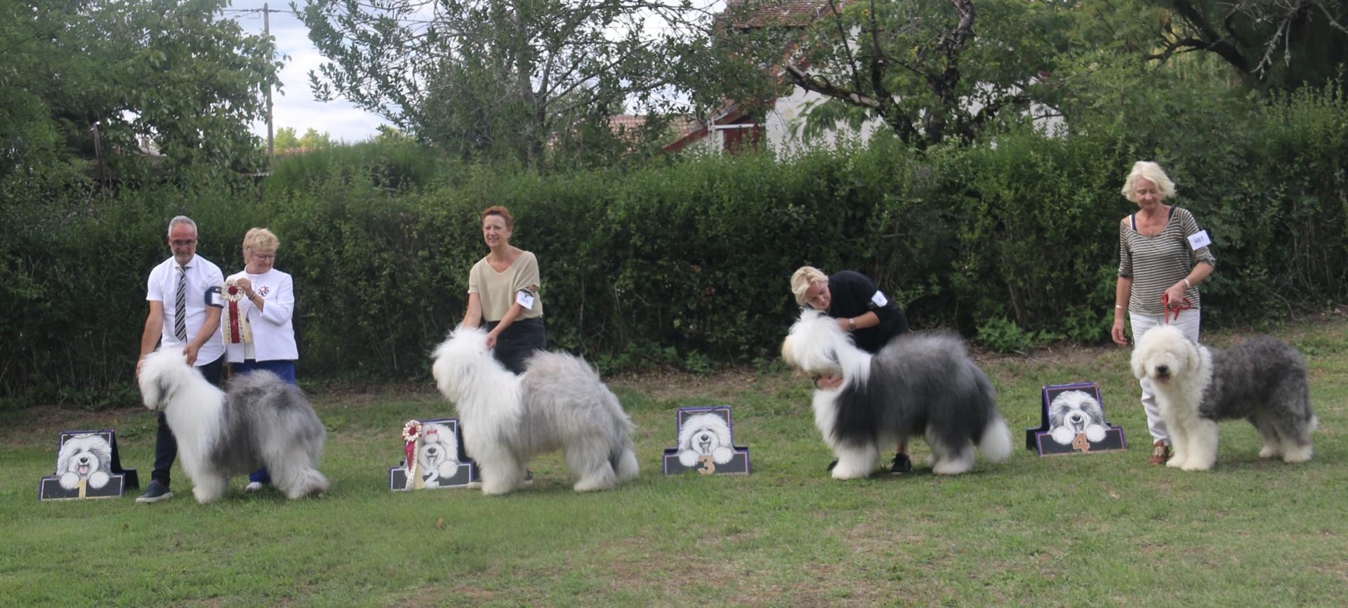 Ef6ed597 a8c2 4dbb 8980 49abfaf1b281 1 201 a