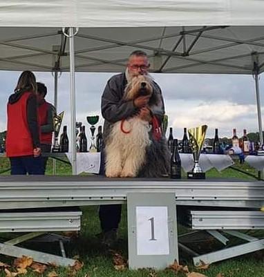 Fb img 1666123874416 2