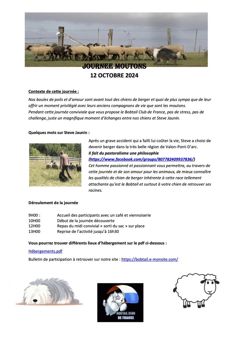 Journee moutons